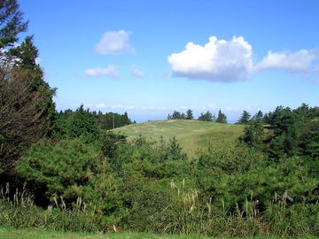 SANY05871.jpg