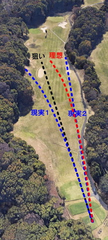 driver2019.jpg