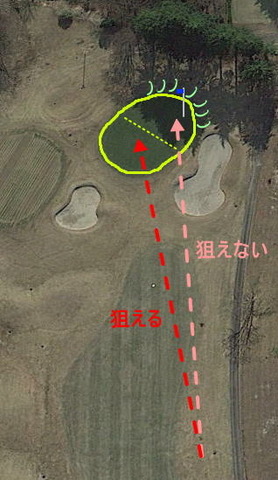 kisaichi_matu_08_green.jpg