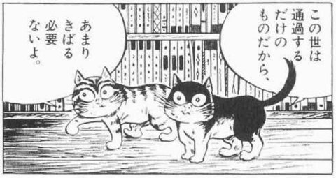mizukisigeru.jpg
