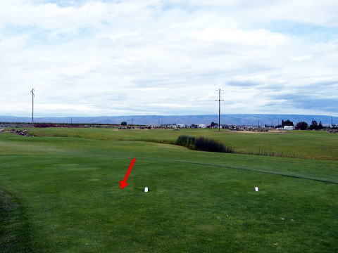 teebox.jpg