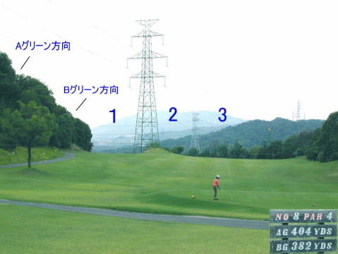 ume83.jpg